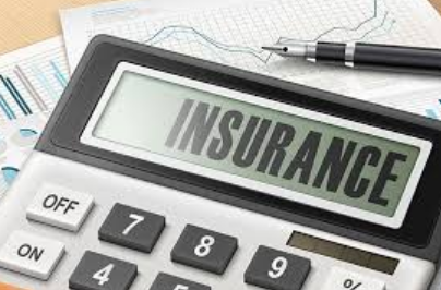 Role of Term Insurance for Young Professionals